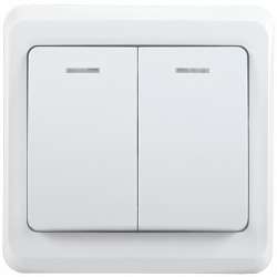 IEK ВС10-2-1-ВБ Выключатель 2кл 10А с инд. ВЕГА (белый) арт. EVV21-K01-10-DM