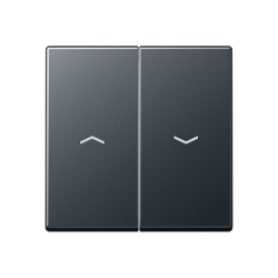 JUNG A 500 Антрацит Клавиши для сдвоенных выключателей арт. A595BFPANM