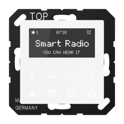 JUNG A 500 Бел Стерео-радиоприемник скрытой установки с RDS арт. RADA508WW