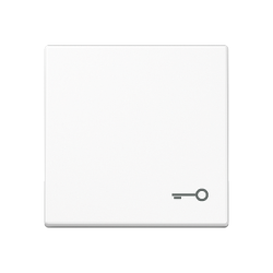 JUNG A 500 Бел Клавиша 1-я с символом КЛЮЧ арт. A590TWW