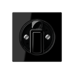 JUNG A 500 Черный Накладка поворотного механизма арт. A1541SW