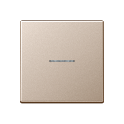 JUNG A 500 Шампань Клавиша 1-ая с/п арт. A590KO5CH