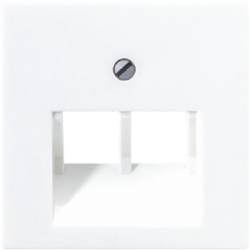 JUNG AS 500 Белая Накладка 2-ой наклонной ТЛФ/комп розетки (подходит к серии Ecoprofi) арт. A569-2BFPLUAWW