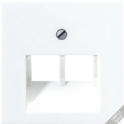 JUNG AS 500 Беж Накладка 2-ой наклонной ТЛФ/комп розетки (подходит к серии Ecoprofi) арт. A569-2BFPLUA