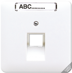 JUNG CD 500/CD plus Беж Накладка 1-ой наклонной ТЛФ/комп розетки с полем для надписи арт. 569-1NAUA