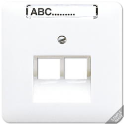 JUNG CD 500/CD plus Беж Накладка 2-ой наклонной ТЛФ/комп розетки с полем для надписи арт. 569-2NAUA