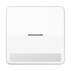 JUNG CD 500/CD plus Бел Клавиша 1-я с/п с полем для надписи арт. CD590NAKO5WW