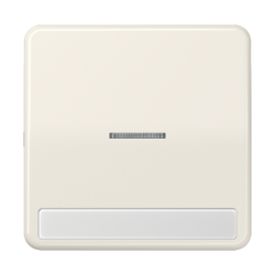 JUNG CD 500/CD plus Беж Клавиша 1-я с/п с полем для надписи арт. CD590NAKO5