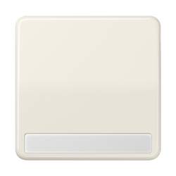 JUNG CD 500/CD plus Беж Клавиша 1-я с полем для надписи арт. CD590NA