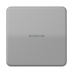 JUNG CD 500/CD plus Серый Клавиша 1-я с/п арт. CD590KO5GR