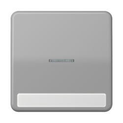 JUNG CD 500/CD plus Серый Клавиша 1-я с/п с полем для надписи арт. CD590NAKO5GR