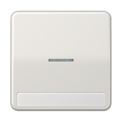 JUNG CD 500/CD plus Светло-серый Клавиша 1-я с/п с полем для надписи арт. CD590NAKO5LG