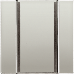 JUNG KNX Edelstahl Клавиша для шинного сопряжения 2070U 1группа арт. ES2091NABS