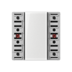 JUNG KNX Кнопочный модуль универсальный 2 группы арт. A5091TSM
