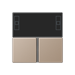 JUNG KNX Шампань Набор накладок для контроллера 2 кл серия А арт. A4093TSACH