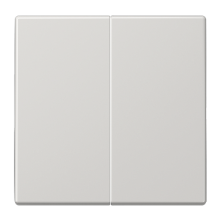 JUNG LS 990 Светло-серый Клавиша 2-я арт. LS995LG