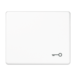 JUNG SL 500 Бел Клавиша 1-я с символом КЛЮЧ арт. SL590TWW