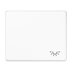 JUNG SL 500 Бел Клавиша 1-я с символом ОСВЕЩЕНИЕ арт. SL590LWW