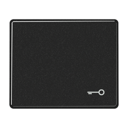 JUNG SL 500 Черный Клавиша 1-я с символом КЛЮЧ арт. SL590TSW