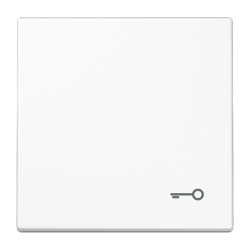 JUNG SL 500 Черный Клавиша 2-я с подсветкой арт. SL595KO5SW