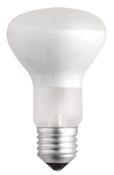 Jazzway Лампа накаливания R63 60W E27 frost арт. .3321444