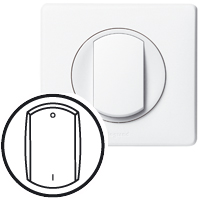 Legrand Celiane Бел Клавиша Выключателя 2х полюсного (мех 067020) арт. 068021