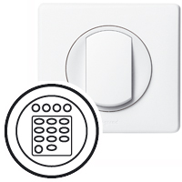 Legrand Celiane Бел Накладка дополнительный модуль для тюнера арт. 068225