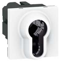 Legrand Mosaic Белый Выключатель с ключом 2-позиционный цилиндр евростандарта 6A 2 модуля арт. 077074