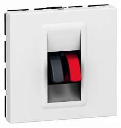 Legrand Mosaic Розетка для колонок 2модуля - клеммные колодки 4мм2 арт. 078751