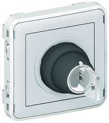 Legrand Plexo Серый Мех Выключатель с ключом 2-х поз. 2НО арт. 069534