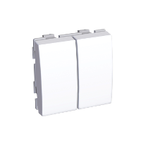 SE Altira Бел Переключатель 2-клавишный 20А RAL9003 арт. ALB44026