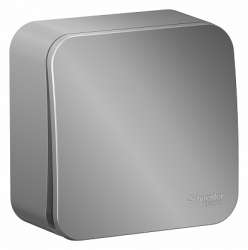 SE Blanca наруж Алюминий Выключатель 1-клавишный с самовозвратом, 10А, 250В, изолир. пластина арт. BLNCA101013