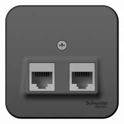SE Blanca наруж Антрацит Розетка 2-ая компьютерная RJ45, кат.5E, изол. пластина арт. BLNIA045456