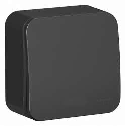 SE Blanca наруж Антрацит Выключатель 1-клавишный с самовозвратом, 10А, 250В, изолир. пластина арт. BLNCA101016