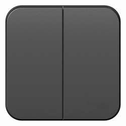 SE Blanca наруж Антрацит Выключатель 2-клавишный 10А, 250B, изолир. пластина арт. BLNVA105016