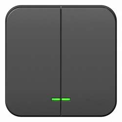 SE Blanca наруж Антрацит Выключатель 2-клавишный с подсветкой, 10А, 250B арт. BLNVA105106