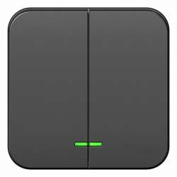 SE Blanca наруж Антрацит Выключатель 2-клавишный с подсветкой 10А,250B, изолир. пластина арт. BLNVA105116