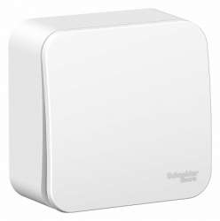 SE Blanca наруж Бел Выключатель 1-клавишный 10А, 250B, изолир. пластина арт. BLNVA101011