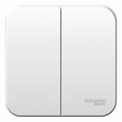 SE Blanca наруж Бел Выключатель 2-клавишный, 10А, 250B арт. BLNVA105001