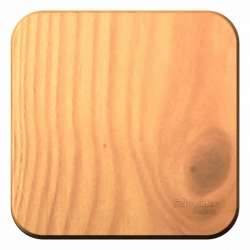 SE Blanca наруж Ясень Переключатель 1-клавишный 10А, 250B, изолир. пластина арт. BLNVA106015