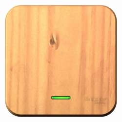 SE Blanca наруж Ясень Выключатель 1-клавишный с подсветкой 10А,250B, изолир. пластина арт. BLNVA101115