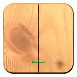 SE Blanca наруж Ясень Выключатель 2-клавишный , 10А, 250B арт. BLNVA105005