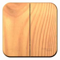 SE Blanca наруж Ясень Выключатель 2-клавишный 10А, 250B, изолир. пластина арт. BLNVA105015