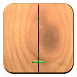 SE Blanca наруж Ясень Выключатель 2-клавишный с подсветкой, 10А, 250B арт. BLNVA105105