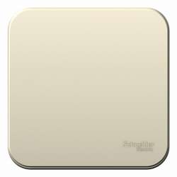 SE Blanca наруж Молочный Выключатель 1-клавишный, 10А, 250B арт. BLNVA101002