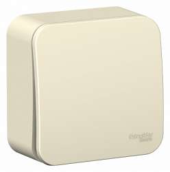 SE Blanca наруж Молочный Выключатель 1-клавишный 10А, 250B, изолир. пластина арт. BLNVA101012