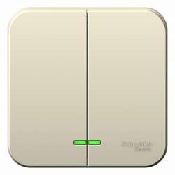 SE Blanca наруж Молочный Выключатель 2-клавишный с подсветкой, 10А, 250B арт. BLNVA105102