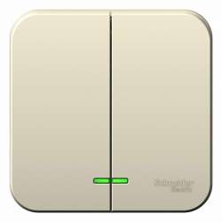 SE Blanca наруж Молочный Выключатель 2-клавишный с подсветкой, 6А, 250В арт. BLNVA065102