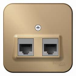 SE Blanca наруж Титан Розетка 2-ая компьютерная RJ45, кат.5E, изол. пластина арт. BLNIA045454