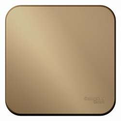 SE Blanca наруж Титан Выключатель 1-клавишный с самовозвратом, 10А, 250В, изолир. пластина арт. BLNCA101014